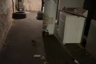 315 N 62nd St, Philadelphia, PA 19139 - Photo 11