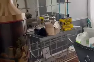 5754 N Marvine St, Philadelphia, PA 19141 - Photo 3