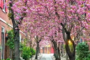 [Address not provided], Philadelphia, PA 19147 - Photo 21