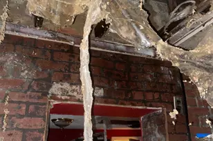 4955 Sheldon St, Philadelphia, PA 19144 - Photo 3