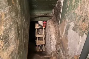 4955 Sheldon St, Philadelphia, PA 19144 - Photo 5