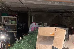 4955 Sheldon St, Philadelphia, PA 19144 - Photo 7