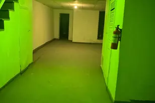 6729 Elmwood Ave, Philadelphia, PA 19142 - Photo 17