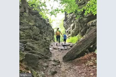 37 W Maplewood Mall, Philadelphia, PA 19144 - Photo 31