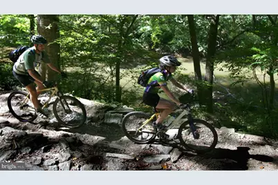 37 W Maplewood Mall, Philadelphia, PA 19144 - Photo 47