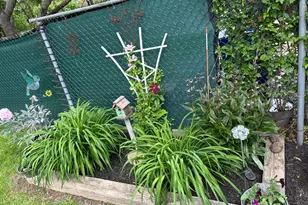 10222 Murty Ln, Philadelphia, PA 19116 - Photo 45