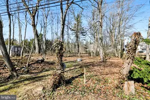 802 Westview St, Philadelphia, PA 19119 - Photo 7