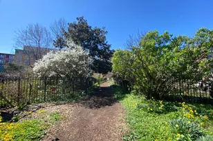 3215 Summer St, Philadelphia, PA 19104 - Photo 69