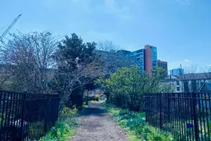 3215 Summer St, Philadelphia, PA 19104 - Photo 67