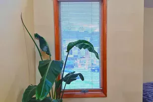 8908 Springview Rd, Philadelphia, PA 19111 - Photo 45