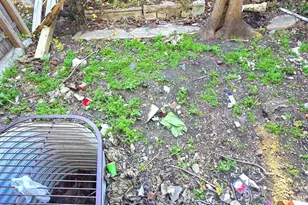 2047 Watkins St, Philadelphia, PA 19145 - Photo 7