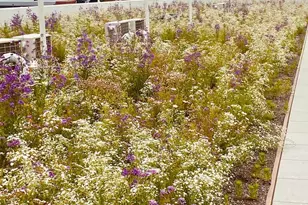 5542 Ridge Ave, Philadelphia, PA 19128 - Photo 15