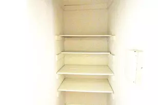 251 W Rittenhouse St, Philadelphia, PA 19144 - Photo 3