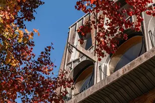 307 S Chadwick St, Philadelphia, PA 19103 - Photo 51