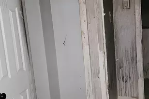 5614 Bloyd St, Philadelphia, PA 19138 - Photo 7