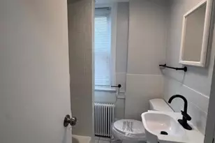 3302 N Palethorp St, Philadelphia, PA 19140 - Photo 9