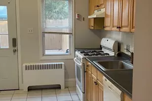 217 Dupont St, Philadelphia, PA 19127 - Photo 17