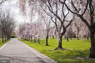 807 Cameron St, Philadelphia, PA 19130 - Photo 21