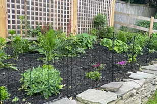 8862 Norwood Ave, Philadelphia, PA 19118 - Photo 41