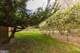 8862 Norwood Ave, Philadelphia, PA 19118 - Photo 45