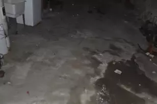 7701 Rugby St, Philadelphia, PA 19150 - Photo 13