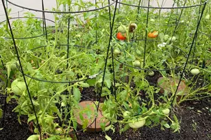 4588 Silverwood St, Philadelphia, PA 19127 - Photo 27