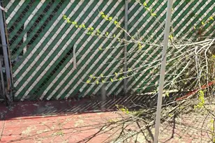 1623 S 54th St, Philadelphia, PA 19143 - Photo 5