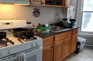 223 W Seymour St, Philadelphia, PA 19144 - Photo 9