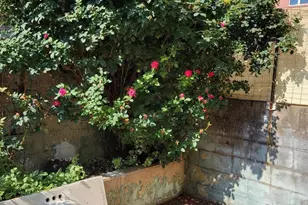 838 Sears St, Philadelphia, PA 19147 - Photo 11