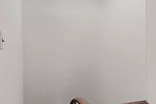 3534 Ainslie St, Philadelphia, PA 19129 - Photo 91