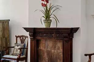 3534 Ainslie St, Philadelphia, PA 19129 - Photo 21