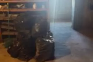 111 N 55th St, Philadelphia, PA 19139 - Photo 17