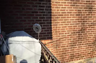 2472 76th Ave, Philadelphia, PA 19150 - Photo 37