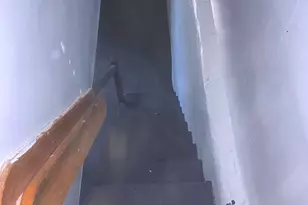 4613 Hartel Ave, Philadelphia, PA 19136 - Photo 13