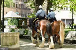 1810 Rittenhouse Square, Philadelphia, PA 19103 - Photo 31