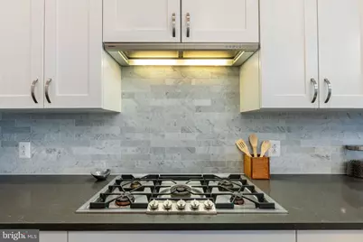 410 S Front Street #102, Philadelphia, PA 19147 - Photo 9
