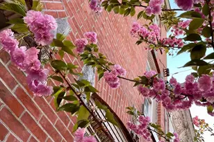 1610 Wharton St, Philadelphia, PA 19146 - Photo 43