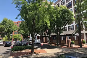315 New St, Philadelphia, PA 19106 - Photo 17