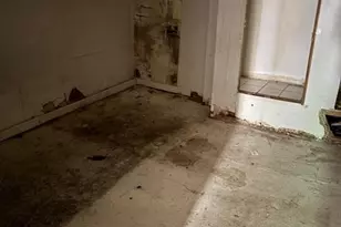 3756 N Darien St, Philadelphia, PA 19140 - Photo 17