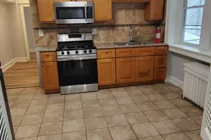 523 W Nedro Ave, Philadelphia, PA 19120 - Photo 3