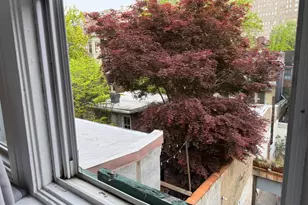 1723 Pine St, Philadelphia, PA 19103 - Photo 11