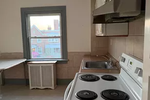 326 W Nedro Ave, Philadelphia, PA 19120 - Photo 29