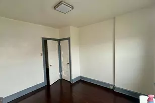 326 W Nedro Ave, Philadelphia, PA 19120 - Photo 39
