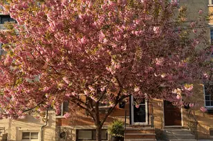 2404 Catharine St, Philadelphia, PA 19146 - Photo 3