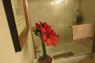 8409 Gibbs Pl, Philadelphia, PA 19153 - Photo 31