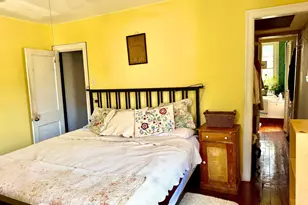 420 W Woodlawn St, Philadelphia, PA 19144 - Photo 59