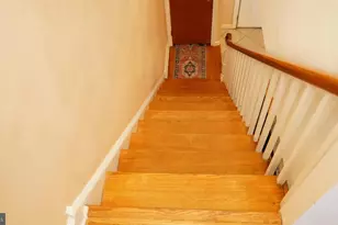 7115 Brous Ave, Philadelphia, PA 19149 - Photo 49