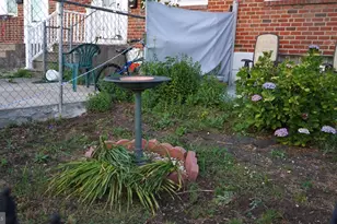 7115 Brous Ave, Philadelphia, PA 19149 - Photo 9