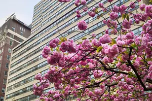 1810 Rittenhouse Square, Philadelphia, PA 19103 - Photo 19