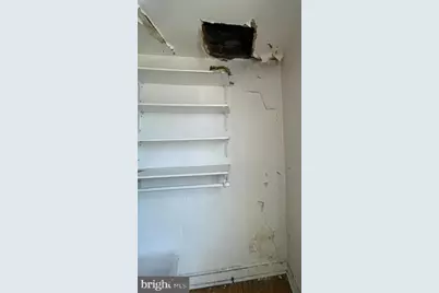 6101 Magnolia Street, Philadelphia, PA 19144 - Photo 15
